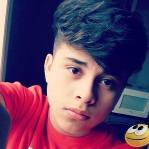 Meet your Posher, Elmer